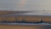 07 Beach 7559